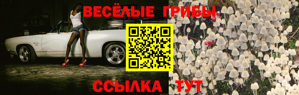 Армавир  Галлюциногенные грибы Magic Shrooms  Вход с VPN 